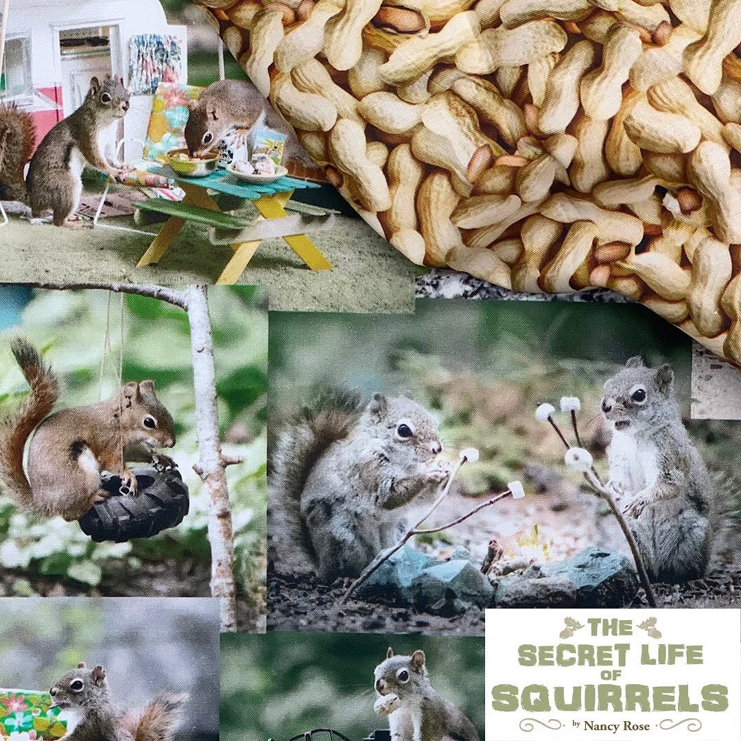 Secret Life of Squirrels