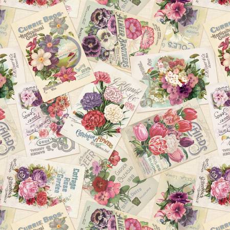 Cottage Lace Multi Seed Catalogues R261466D-MULTI