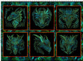 Dragons - Emerald Reign 21DRG-1 6 Blocks approx. 12"x12