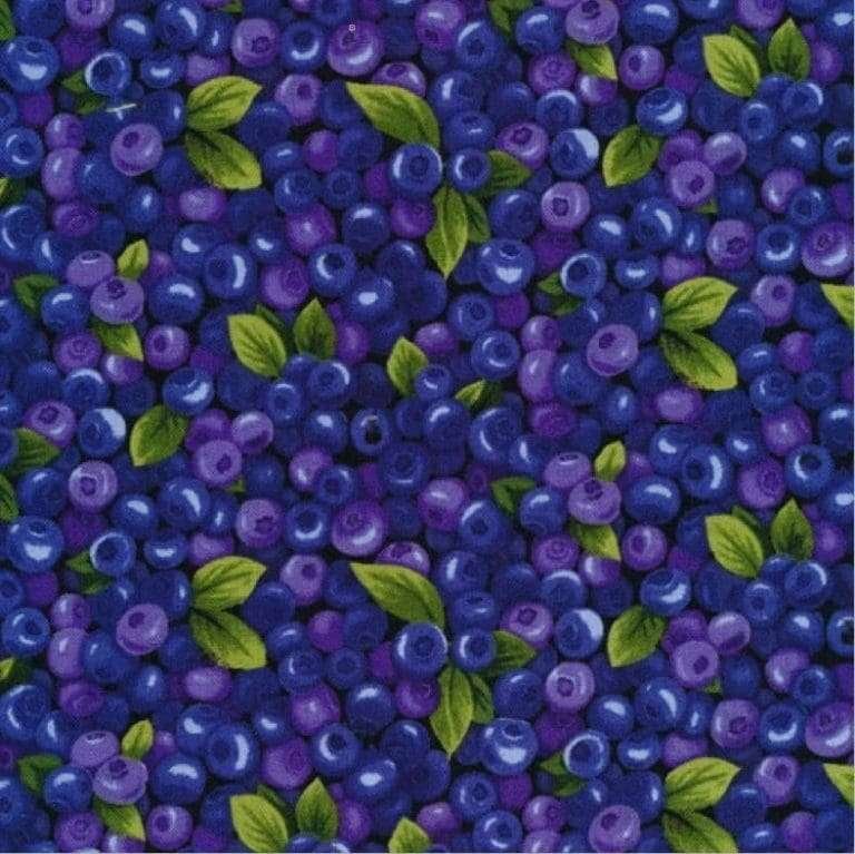 Farmer Johns Garden Party – Blueberries – Blue 120-13281