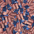 INDIVISIBLE - PACKED FLAGS 28684-B