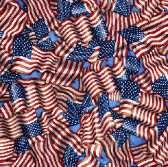 INDIVISIBLE - PACKED FLAGS 28684-B