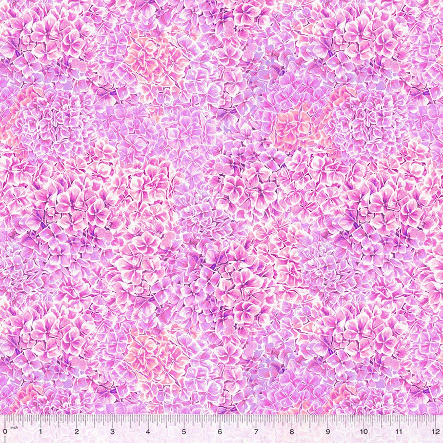 Summer Bliss Hydrangea flowerhead Texture 53708 8 Pink Lilac