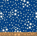 American Heroes Stars
