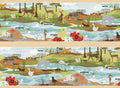 Animal Alphabet Flash Cards Border Stripe 21057