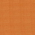 Animal Alphabet Flash Cards Texture Orange 21063
