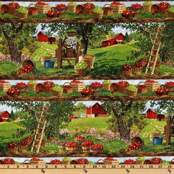 Apple a Day Border Stripe 68760 424
