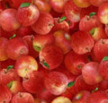 Apples Food Festival 260 Red