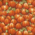 Autumn Abundance Pumpkins 02821-22