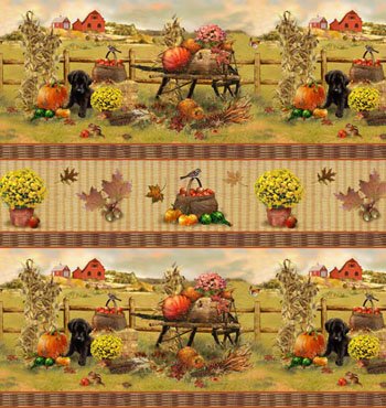 Autumn Bounty 24781 border stripe