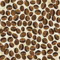 Barista Coffee Beans 29457 E Cream