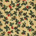 Berkshire Farm Dillon Apples 45607 E