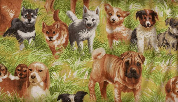 Best in Show II Dogs in Grass