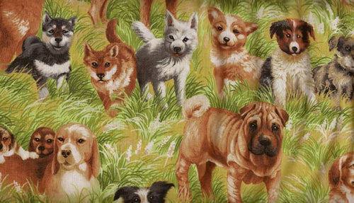 Best in Show II Dogs in Grass