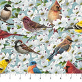 Joys of Spring Birds Digital Print Tossed DP23007-62