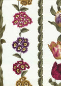 Bloom Border Stripe C3704 Ivory