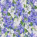 Bloomfield Avenue Hillsdale 3565002 Iris