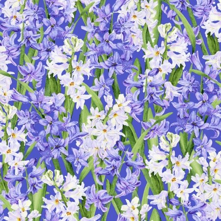 Bloomfield Avenue Hillsdale 3565002 Iris