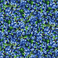Blueberry Bushes CD1746-NAVY Blue berries