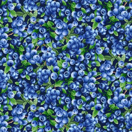 Blueberry Bushes CD1746-NAVY Blue berries