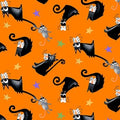 Boo! Glow Tossed Cats 245G 39 Orange