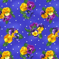 Brightly So Flowerhouse Pansies  FLH 21171 4 Blue