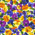 Brightly So Flowerhouse Pansies FLH 21170 14 Natural