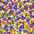 Brightly So Flowerhouse Pansies FLH 21172 14 Natural