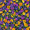Brightly So Flowerhouse Pansies FLH 21172 2 Black