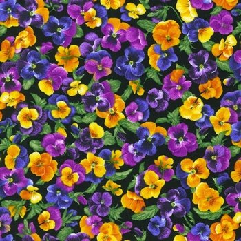 Brightly So Flowerhouse Pansies FLH 21172 2 Black