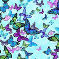 Butterflies CD8373 Blue