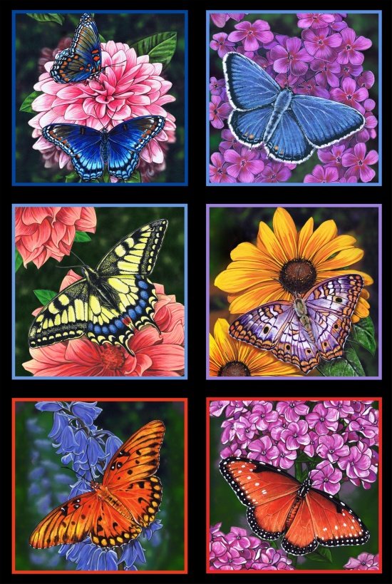 Butterfly Garden 6400-black Butterflies