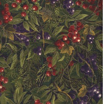 Butternut Farm Grapes and Grapevines 15692 14