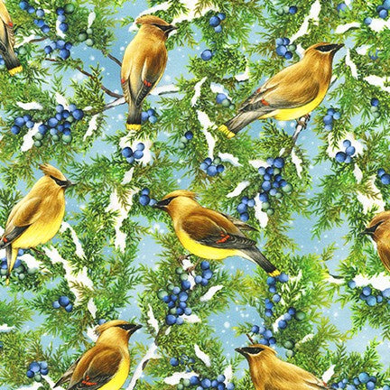 Cardinals AHYD-20032-439 CEDARWAX
