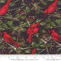 Cardinals Splendid Charcoal 48651 18