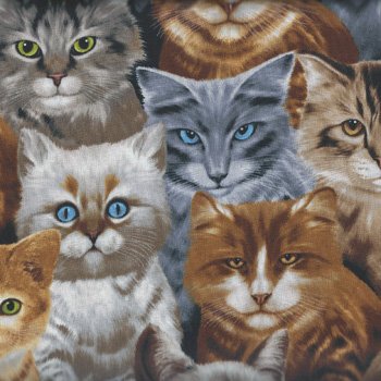 Cat Faces 9820 Natural