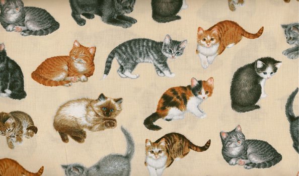 Cats and Kitties C6208 Cream
