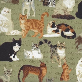 Cats and Words on Green 4662 G Green