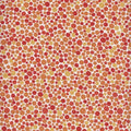 Chromatics dots 5MMA4 orange