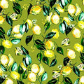 Citrus Garden Lemons RJ1401  OL1 olive
