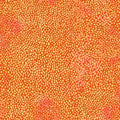Coordinate Mirage 26999 O Orange