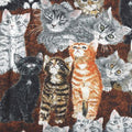 Counting Kittens Allover Cats 60681 9 Brown
