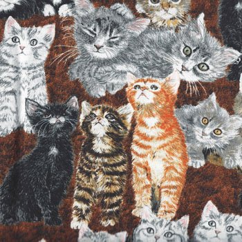 Counting Kittens Allover Cats 60681 9 Brown