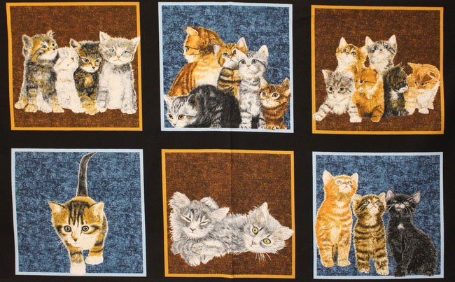 Counting Kittens Panel 60680 8 Black
