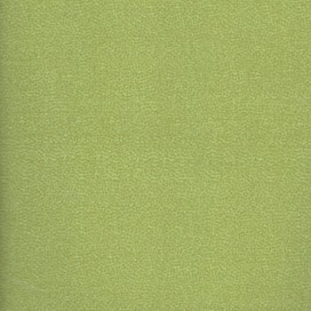 Creepers Peepers Coordinating Green 22108 G