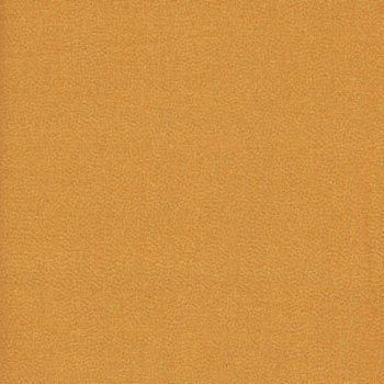 Creepers Peepers Pumpkin 22108 S tonal
