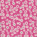 Daisy C6997 TT Pink