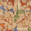 Dinosaurs Tossed with WordsTan KIDZ C6030