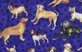 Dog Days Dark Blue Y0307-3