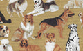 Dogs and words on Tan 4665-T